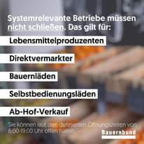 Kürbishof,Biokürbis,Kürbis,Hofladen,Metz,Bio,Kürbiskernöl,Ab-Hof-Verkauf,Geschenke,Exkursionen,Leinöl,Mostviertel,NÖ,regional,Bauer